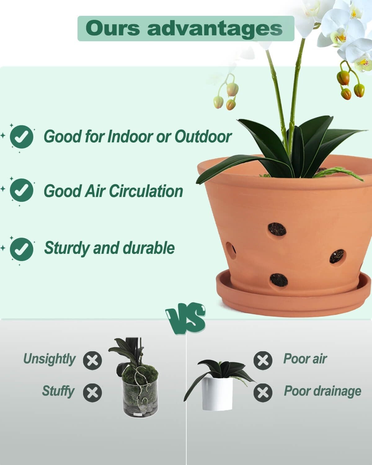 Classic 8-Inch Terracotta Plant Pots with Breathing Holes – Perfect for Orchids
