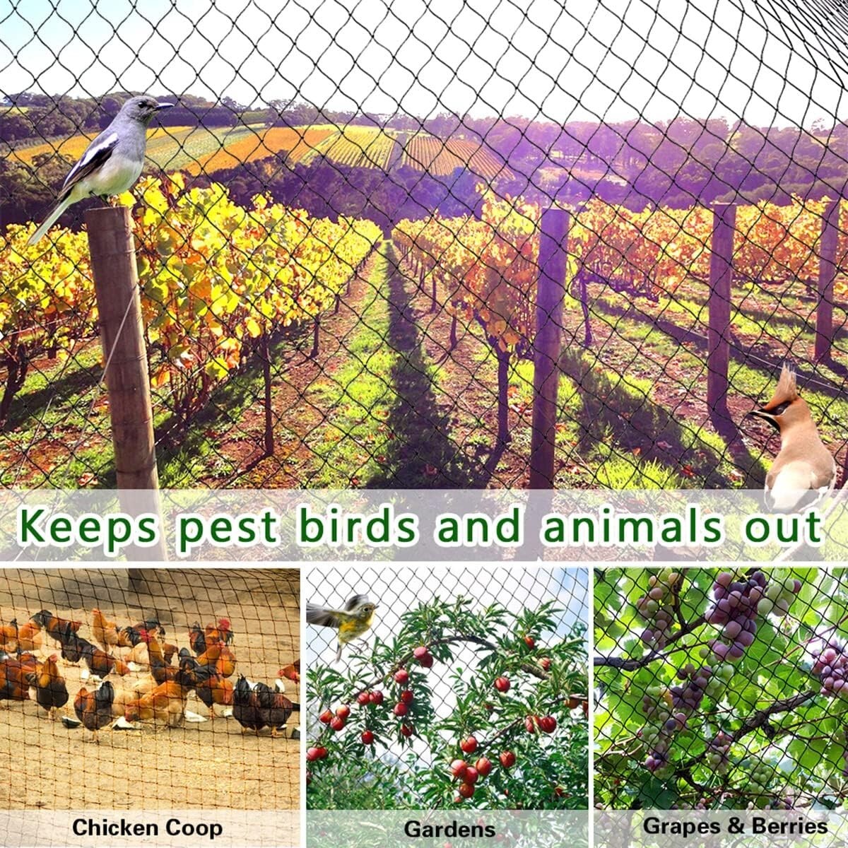 Durable 25' x 50' Bird Netting for Vegetables and Fruits - Easy Setup Included