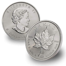 Load image into Gallery viewer, Unique 5-Coin Silver Maple Leaf Lot - Random Years, High Reflectivity and Purity