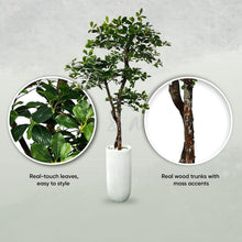 Load image into Gallery viewer, Natural-Looking 5ft Black Olive Leaf Tree - Supporting Sustainability Efforts