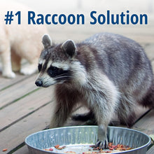 Load image into Gallery viewer, Professional Quality 1-Door Humane Animal Trap - Safe for Cats, Raccoons &amp; More