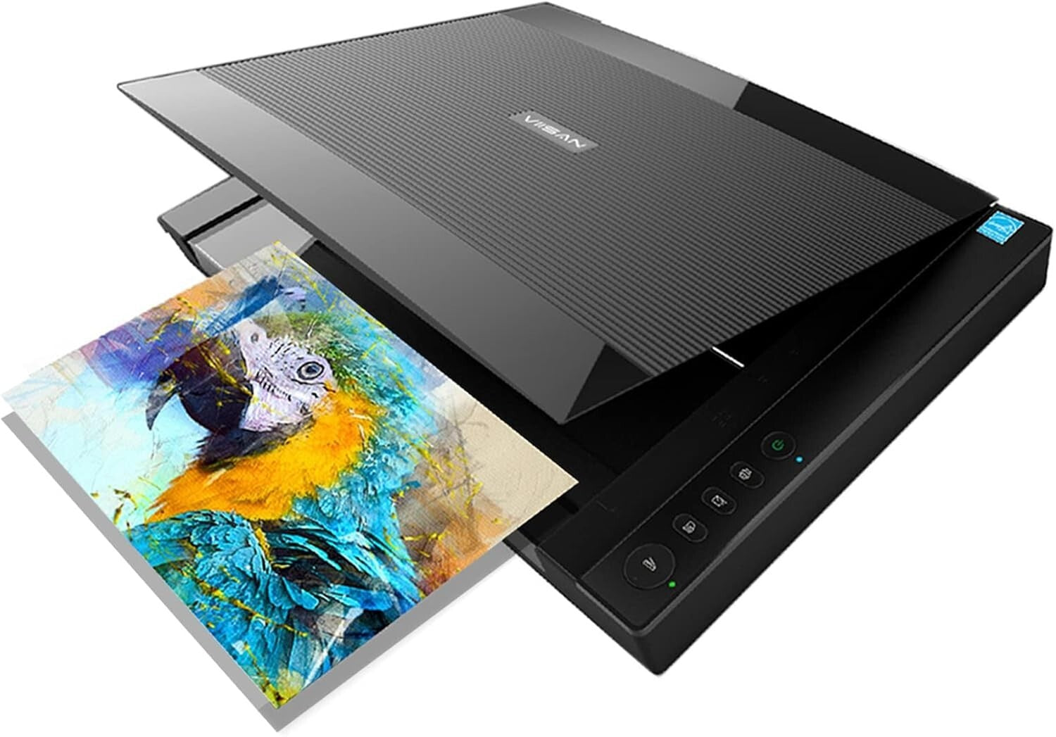 High-Resolution A3 Flatbed Scanner with Auto-Scan - Ideal for Photos & Documents