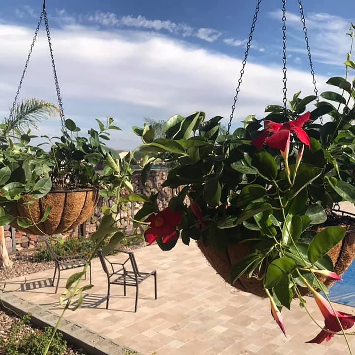 Classic 14-Inch Outdoor Hanging Baskets - Durable Design with Coco Fiber Liners