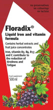 Load image into Gallery viewer, Floradix Iron + Herbs – Convenient 500 ML for Energy Boost &amp; Healthy Metabolism