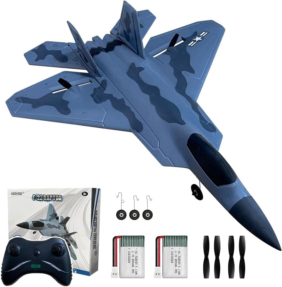 Beginner-Friendly 2 CH F-22 RC Airplane - Ready to Fly with 2.4GHz Control