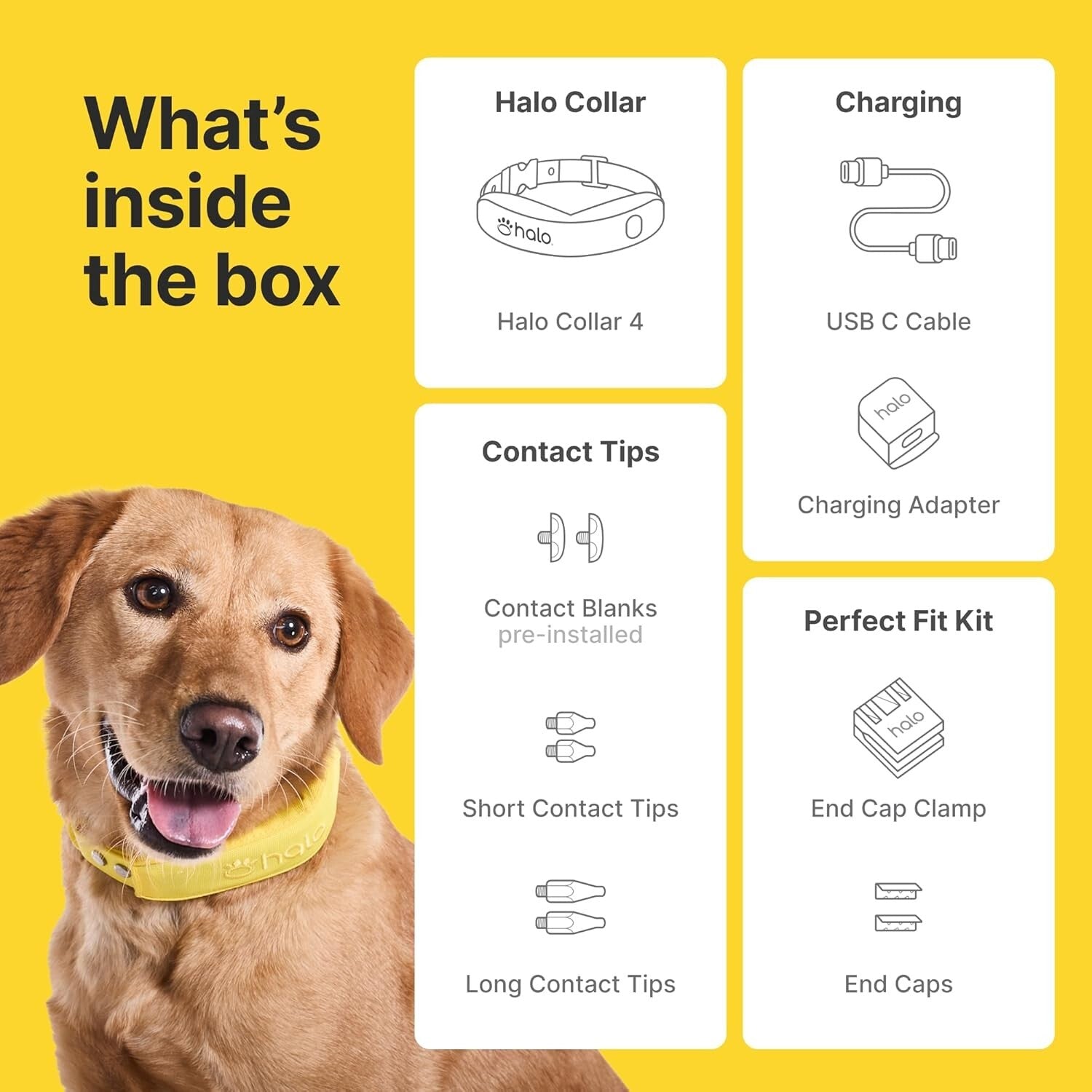 Collar 4 Waterproof GPS Dog Fence - Secure & Track with Mobile App Functionality