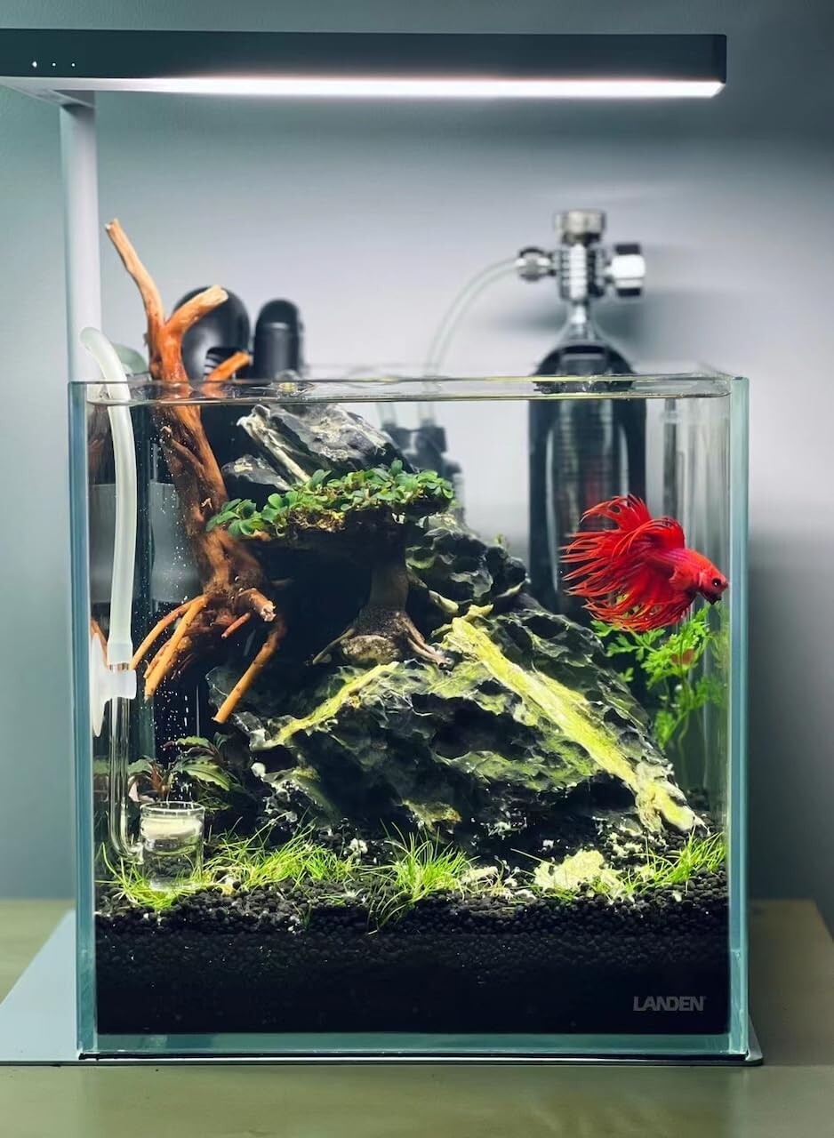 Premium 10lbs Black Aqua Soil - Natural Clay Gravel for Aquatic Plants & Shrimp