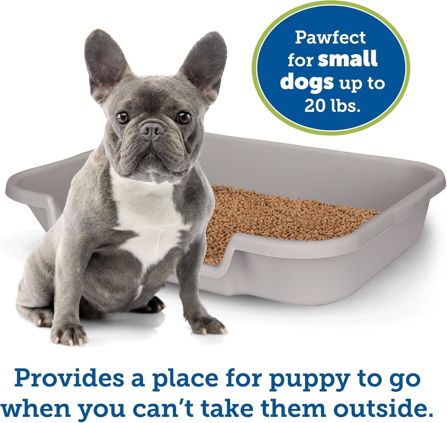 Durable Indoor Dog Litter Pan - Large Size for Puppies and Small Dogs