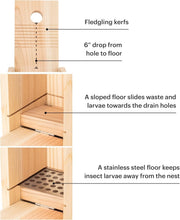Load image into Gallery viewer, Durable Weatherproof Bird House with Predator Guard - Family-Designed Quality