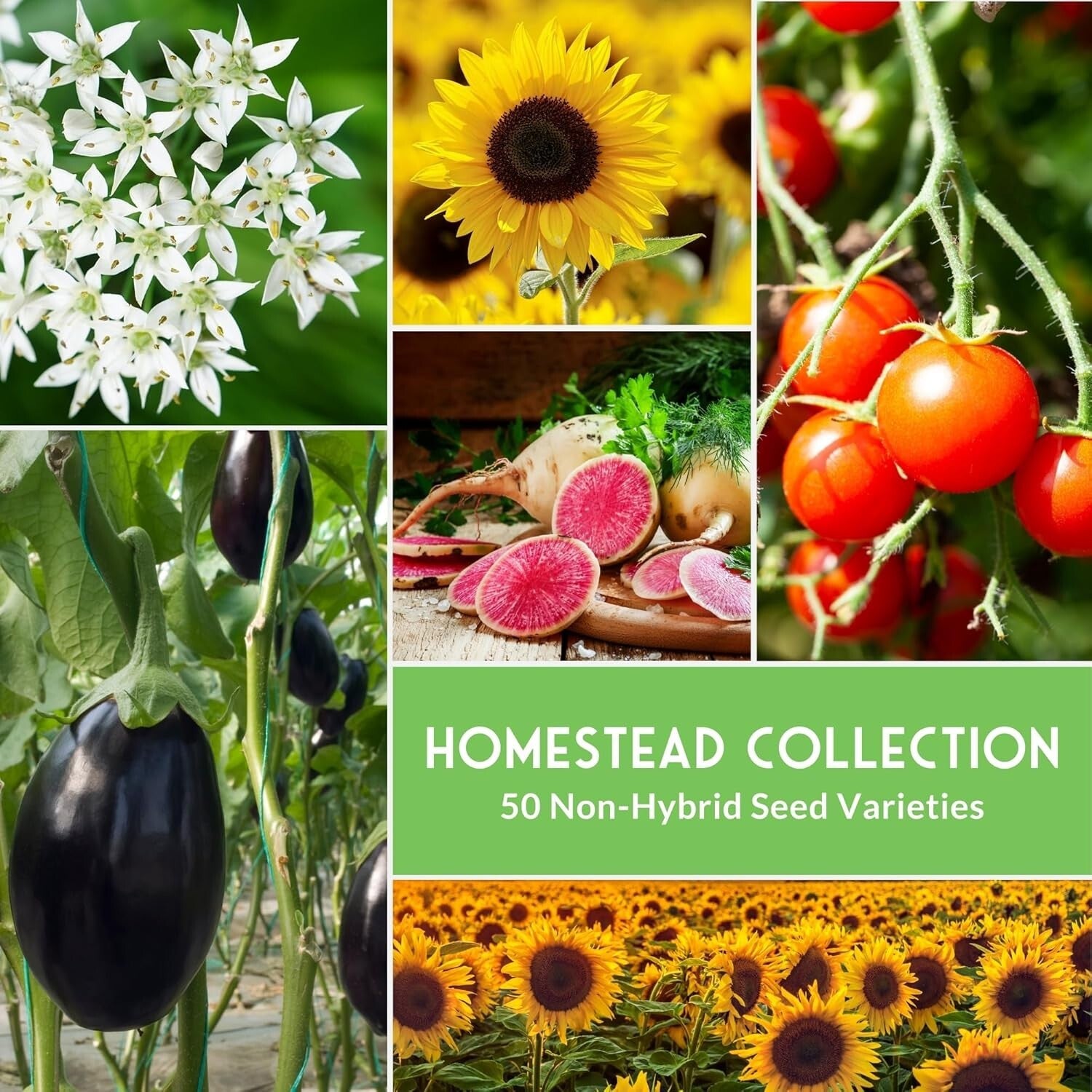 Emergency-Ready Non-GMO Seed Collection: 50 Heirloom Varieties for Home Gardens