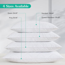 Load image into Gallery viewer, Breathable and Soft Queen Bed Pillows - 60% Goose Feather Fill, Medium Support