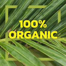 Load image into Gallery viewer, 12-Pack Organic Coconut Milk Cans - Unsweetened Dairy Alternative for Recipes
