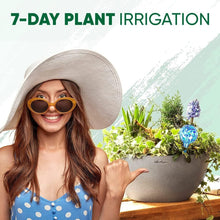 Load image into Gallery viewer, Multicolored 6-Pack of Automatic Plant Watering Globes – 200 ml Each for 7 Days