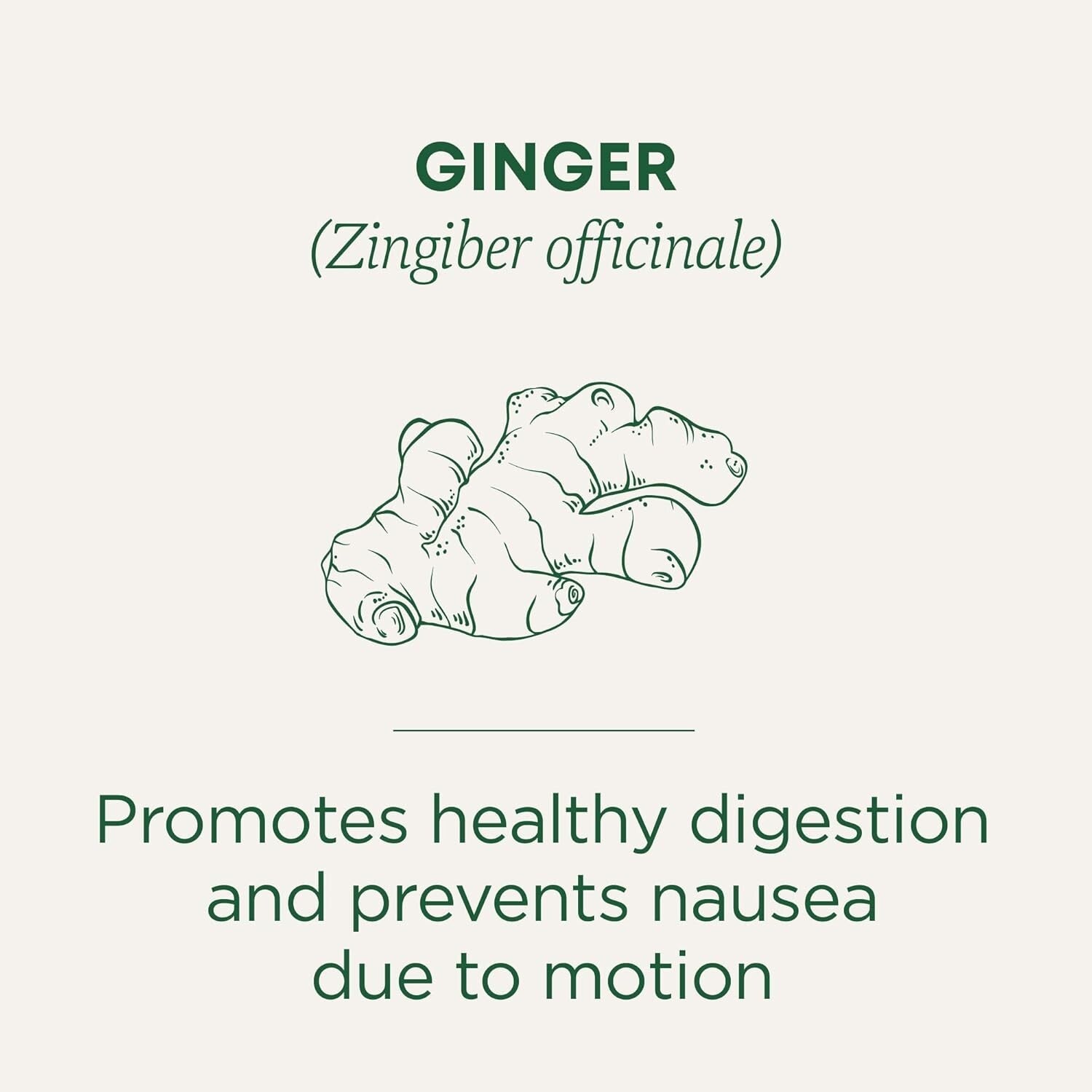 Caffeine-Free Organic Ginger Tea, 16 Bags Each Pack for Digestive Relief