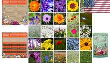 Load image into Gallery viewer, Stunning 1 lb Wildflower Seed Blend - Attract Bees &amp; Butterflies - Easy to Grow