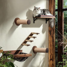 Load image into Gallery viewer, Indoor Cat Wall Shelves - 11.8” Walnut Stairs with Jute Scratch Surface - 2 Sets