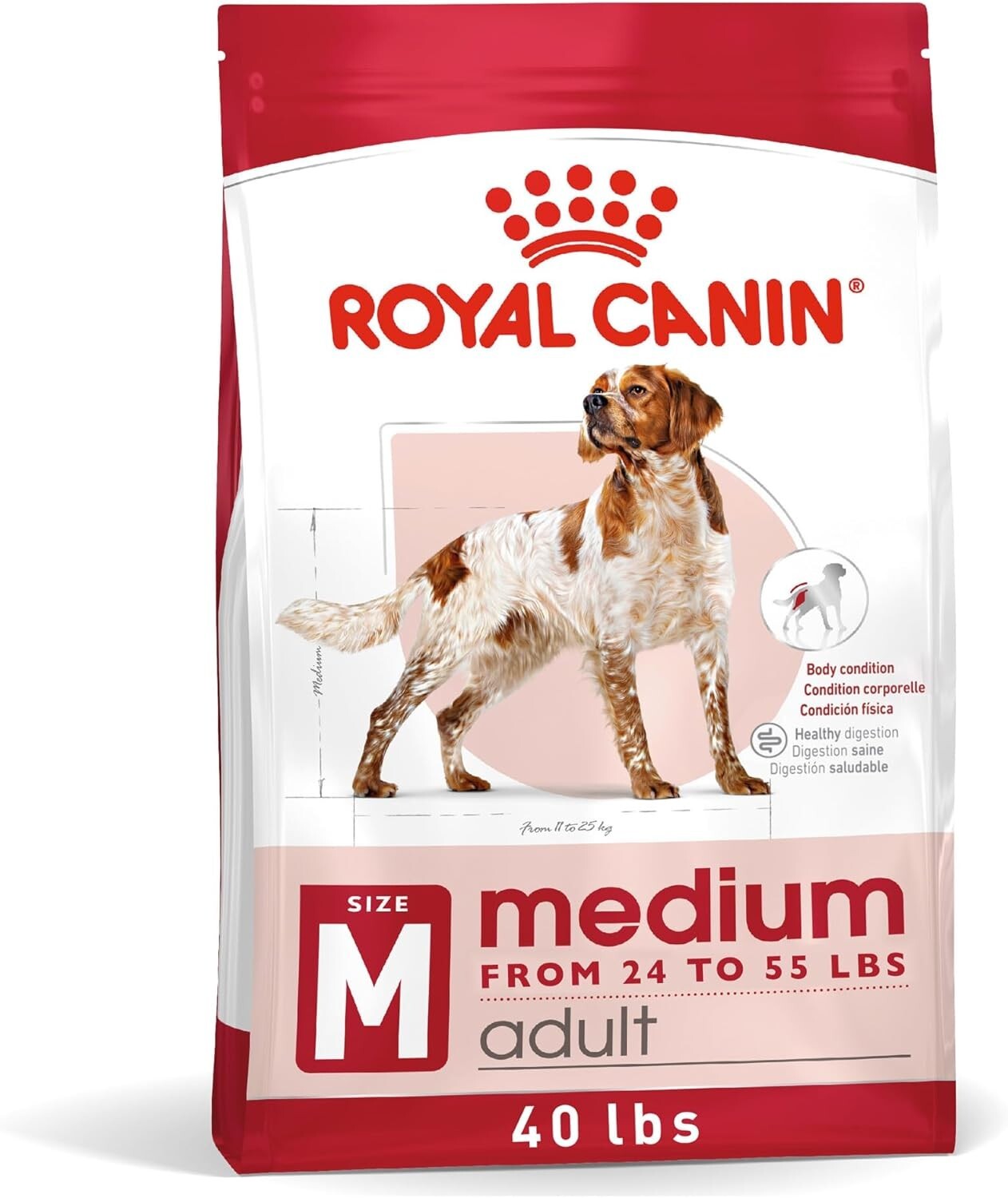 40 lb Medium Adult Dry Dog Food with Antioxidants for Healthy Immune System