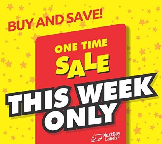 Bulk Box of 500 Classic Double Window Check Envelopes - Secure & Compliant