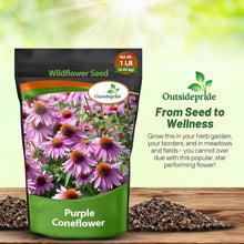 Load image into Gallery viewer, Heirloom Echinacea Coneflower Seeds - Drought Tolerant and Easy to Grow