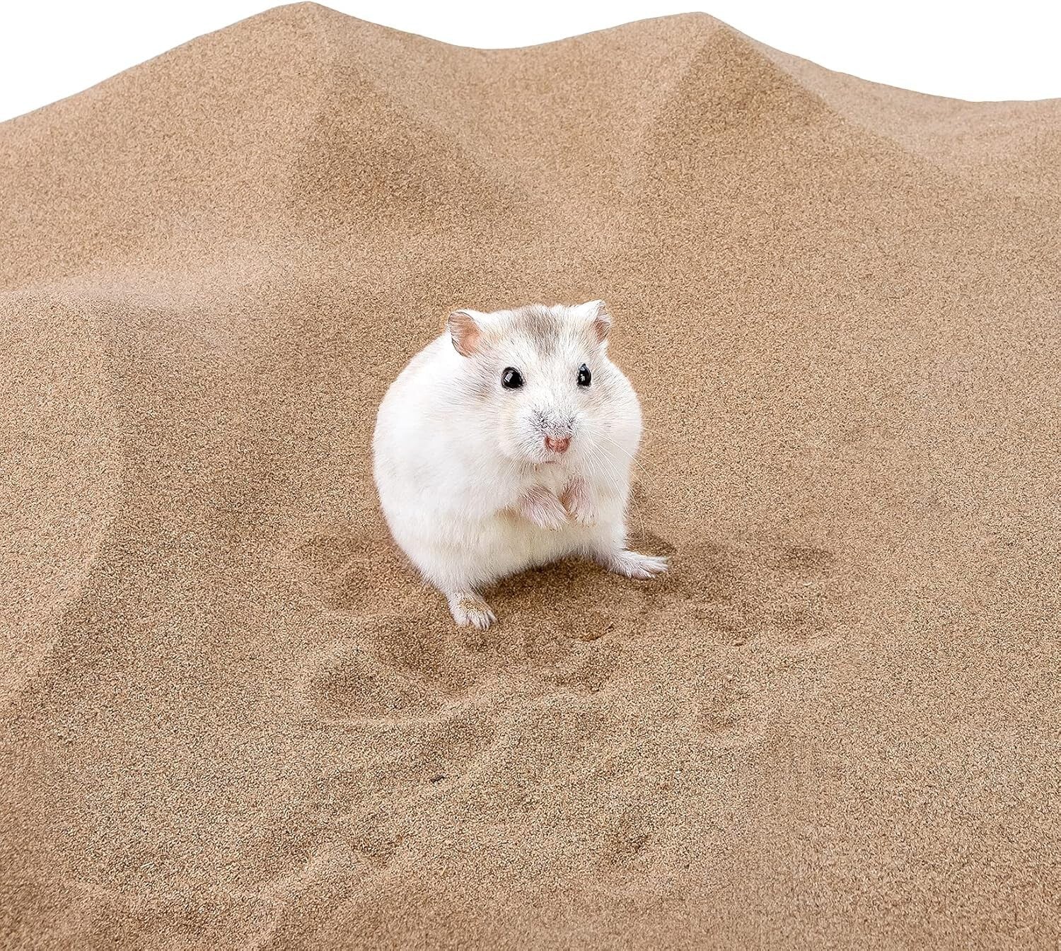 12lb Natural Bath Sand - Dust-Free Solution for Hamsters, Mice & Gerbils