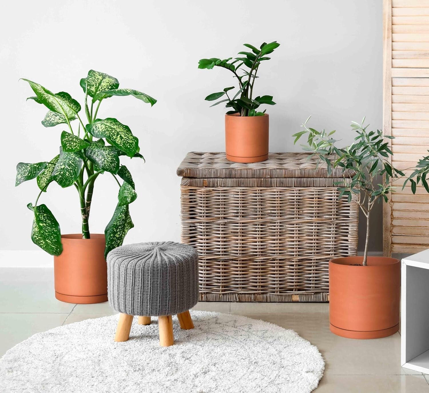 Breathable Terracotta Plant Pots Set – Drainage & Protective Saucers Included