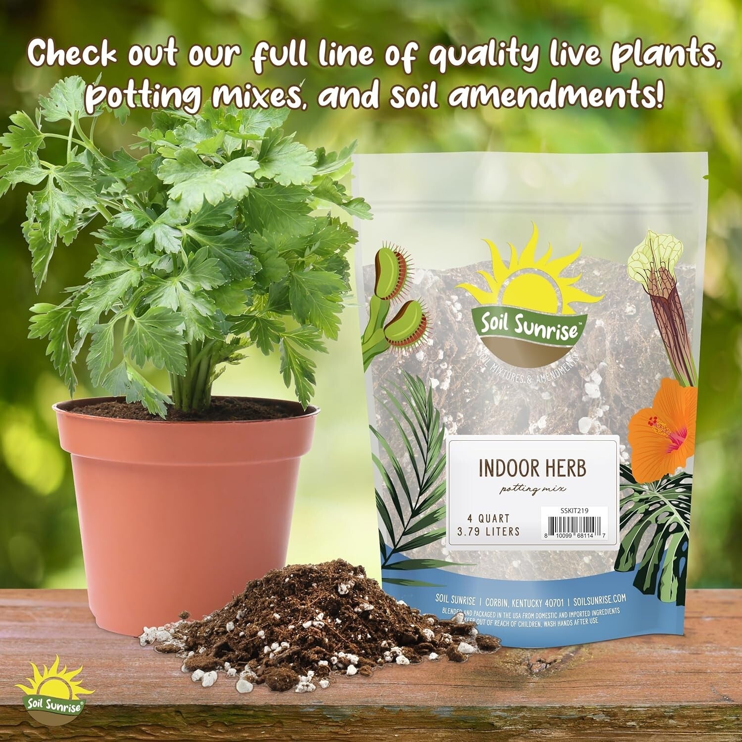 Organic 30qt Potting Soil for Citrus Trees – Ideal for Indoor and Outdoor Use
