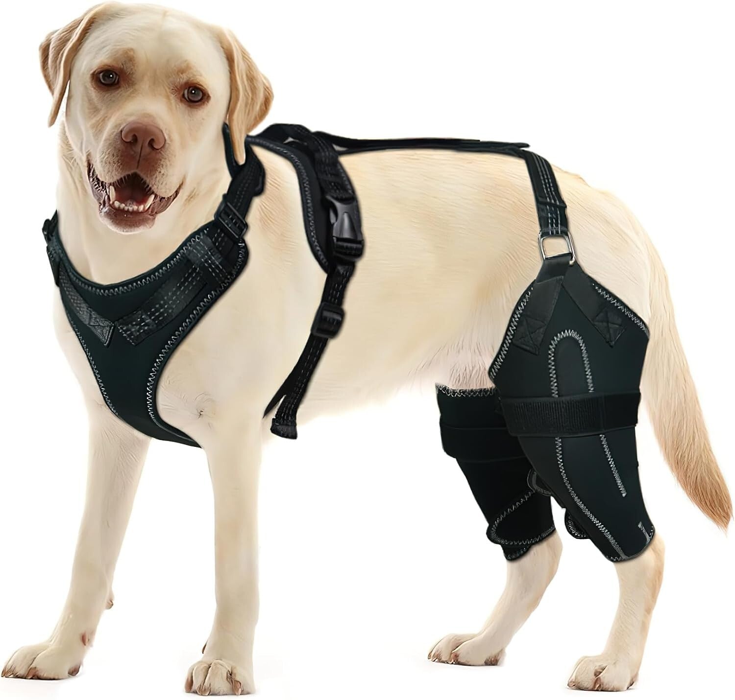 Adjustable Dog Knee Brace for Torn ACL & Luxating Patella – Medium Size