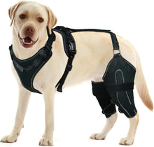 Load image into Gallery viewer, Adjustable Dog Knee Brace for Torn ACL &amp; Luxating Patella – Medium Size