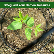 Load image into Gallery viewer, Durable 6-Pack Plant Protectors - 13" Diameter Garden Cloches Against Pests
