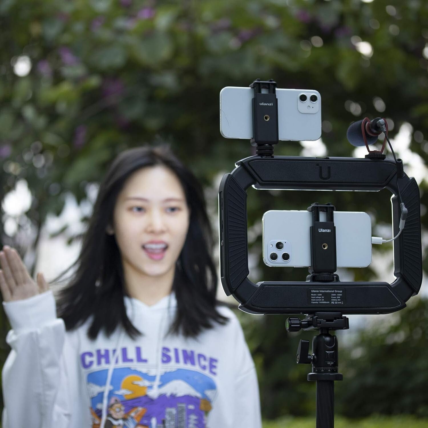 All-in-One Smartphone Video Rig with LED Light & High-Capacity Battery - 10.6 Oz