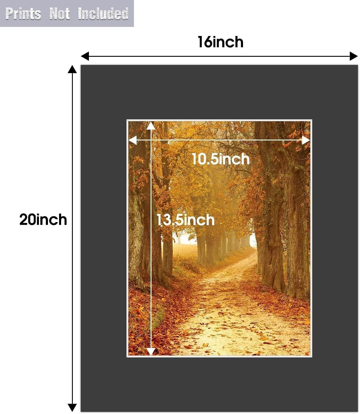 Elegant 16x20 Black Picture Mats with White Core - 25 Count for 11x14 Images