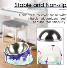 Load image into Gallery viewer, Non-Spill 15° Slanted Pet Bowl for Dogs &amp; Cats - Modern &amp; Functional Design