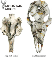 Load image into Gallery viewer, Rustic Skull Master Antler Mount Kit - Perfect for Harvested and Shed Antlers