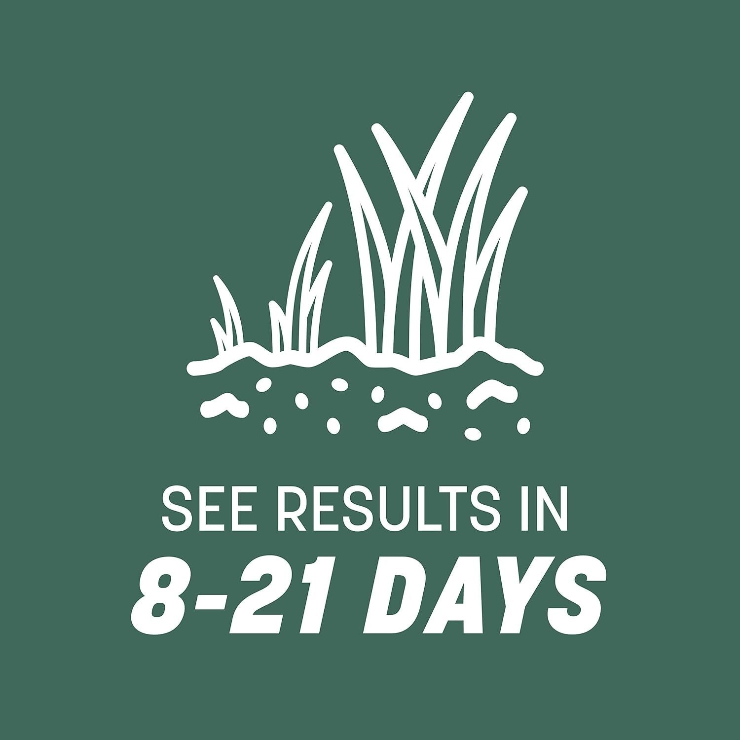 Kentucky 31 Tall Fescue Grass Seed 20 lb - Durable Lawn Solution for 4,000 sq ft