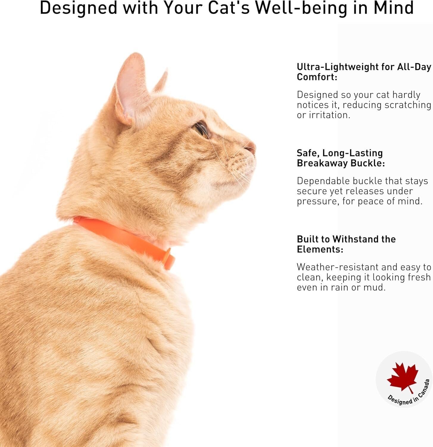 5 Pack Adjustable Breakaway Cat Collars - Soft & Lightweight Safety Set