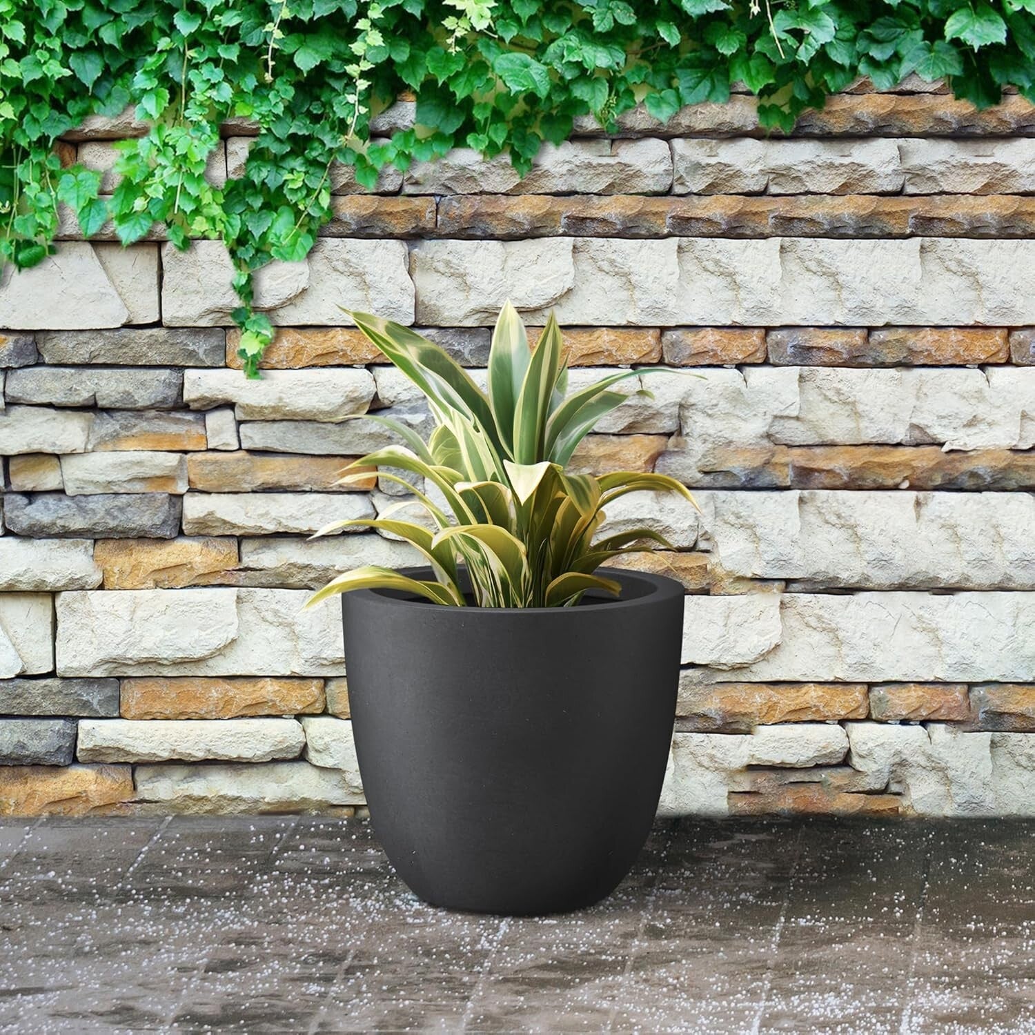 Elegant 14'' Concrete Plant Pot with Drainage for Modern Indoor & Outdoor Spaces
