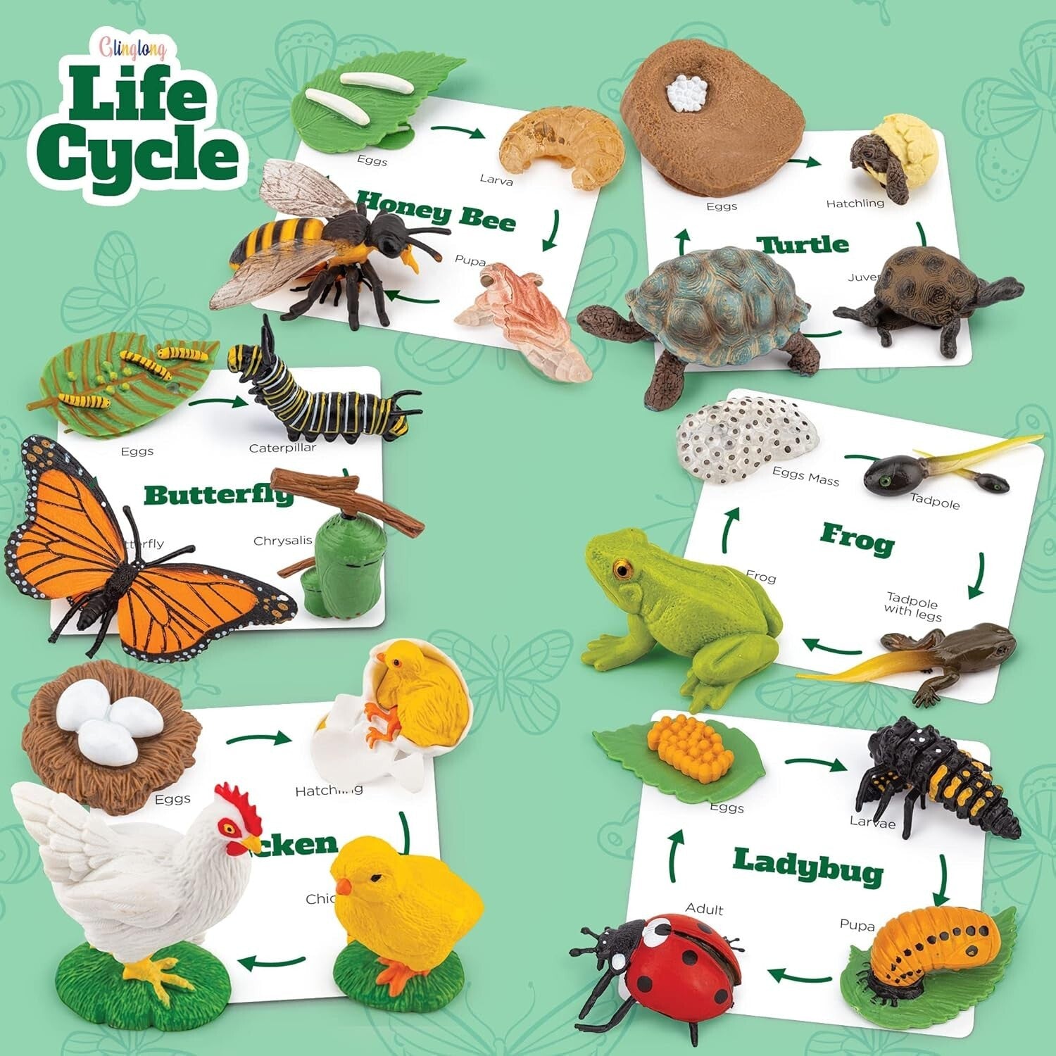 Engaging Montessori Animal Life Cycle Kit – 3D Matching Game for Young Learners