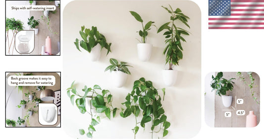 Lightweight Resin Indoor Wall Planters - 6 Self-Watering Pots for Easy Care