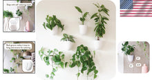 Load image into Gallery viewer, Lightweight Resin Indoor Wall Planters - 6 Self-Watering Pots for Easy Care