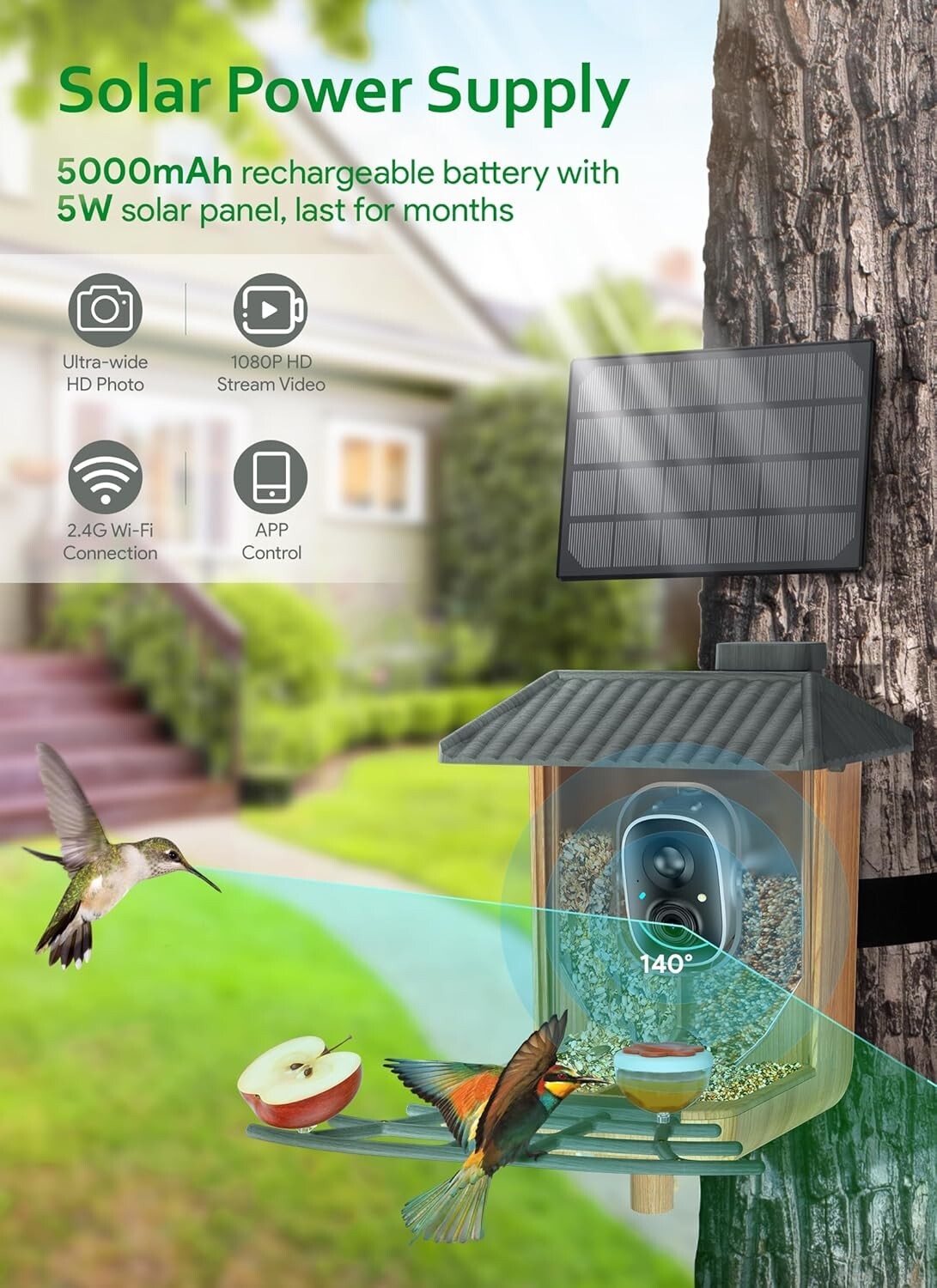 Dual-Bin Bird Feeder with Camera - Solar Powered, Weather Resistant, DIY Options