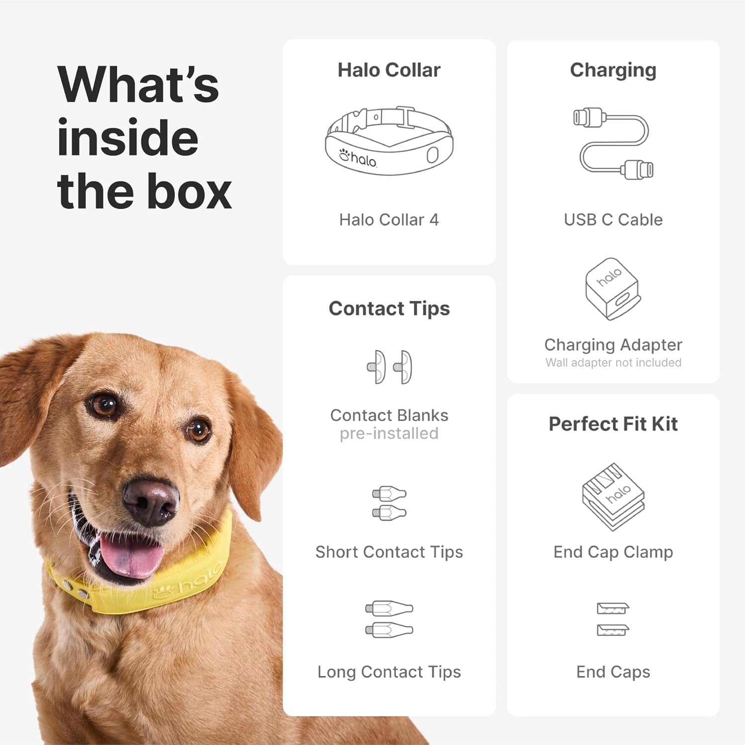 Collar 4 GPS Wireless Dog Fence & Dog Training Collar - Waterproof, Adjustable