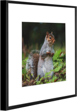 Load image into Gallery viewer, Contemporary 12x12 Metal Frames - Perfect for Engaging Gallery Wall Displays