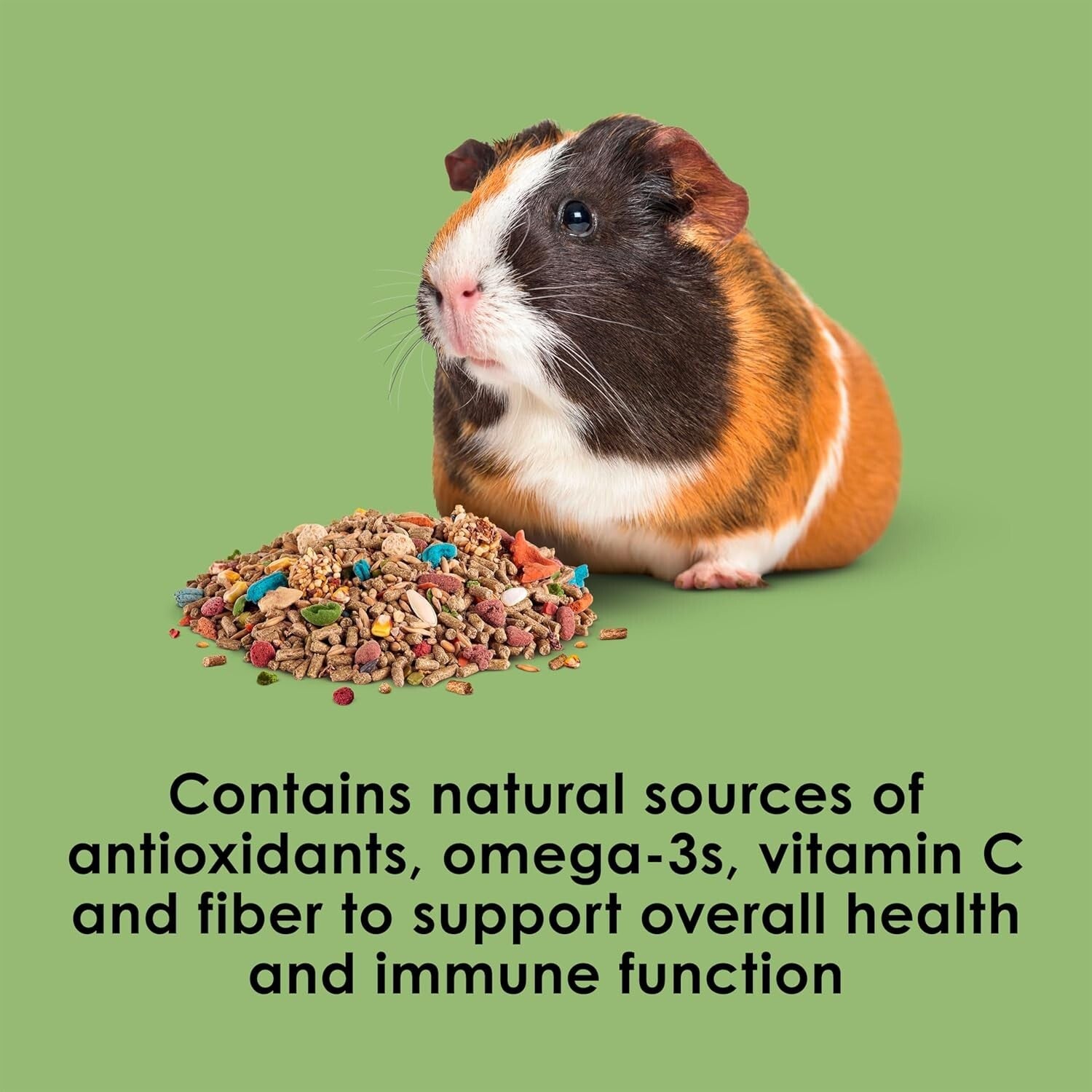 Fiesta Guinea Pig Food, Nutrient-Rich 25 lbs Blend for Dental Health & Digestion