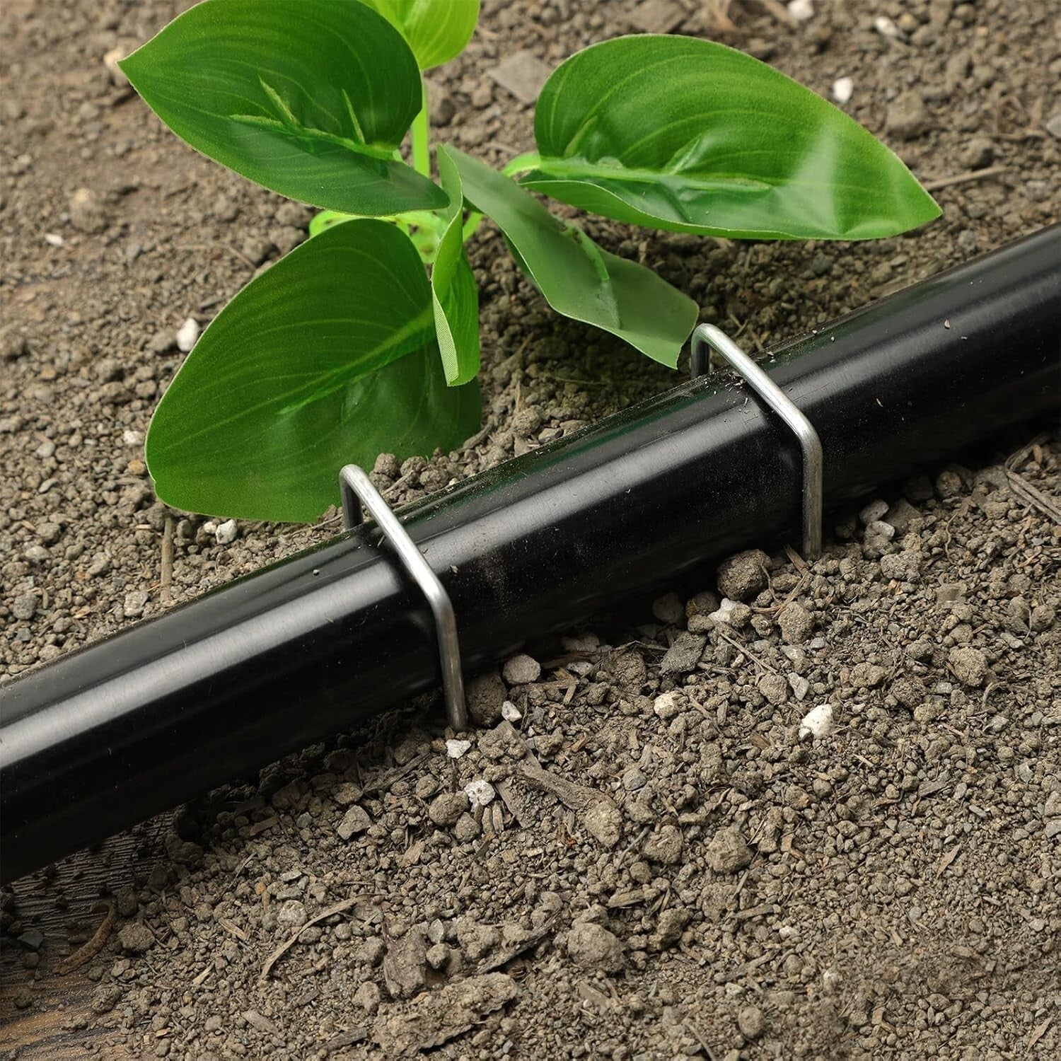 420pcs Galvanized U-Shaped Garden Stakes - 6-Inch for Versatile Outdoor Use