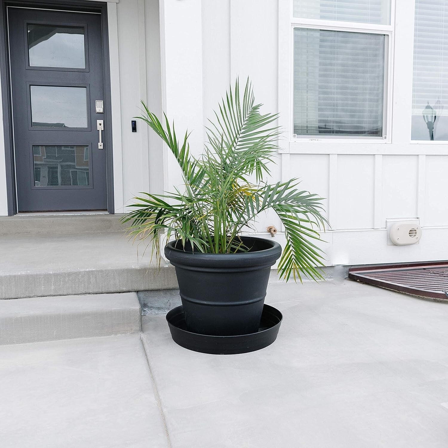 Stylish & Functional 25-Inch Plant Water Catcher - Ideal for Large Potted Plants