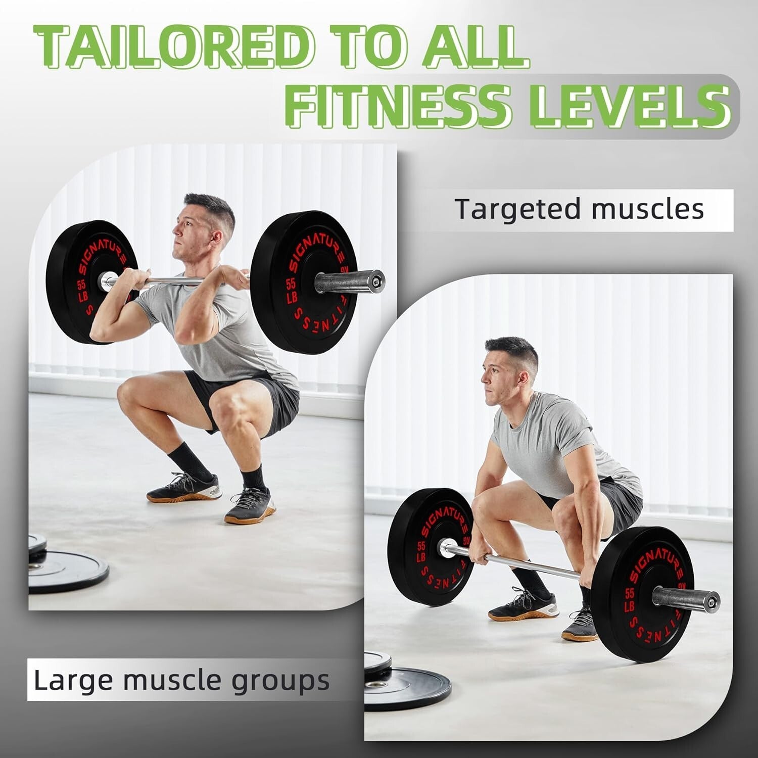 Multi-Weight Olympic Bumper Plates - Ideal for Strength & Endurance Training