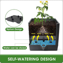 Load image into Gallery viewer, Self-Watering Tomato Planter with Adjustable Trellis - 2 Pack for Indoor/Outdoor