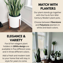 Load image into Gallery viewer, Elegant Mid Century Acacia Wood Plant Stand - Fits 14.9 Inch Pots, No Assembly