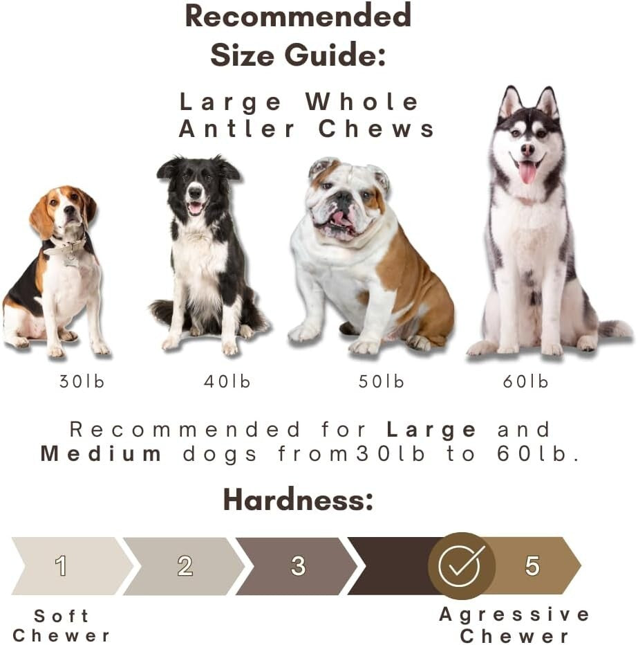 Odorless Antler Dog Chews Set - 3 Pack of Long-Lasting Chews for Large Breeds