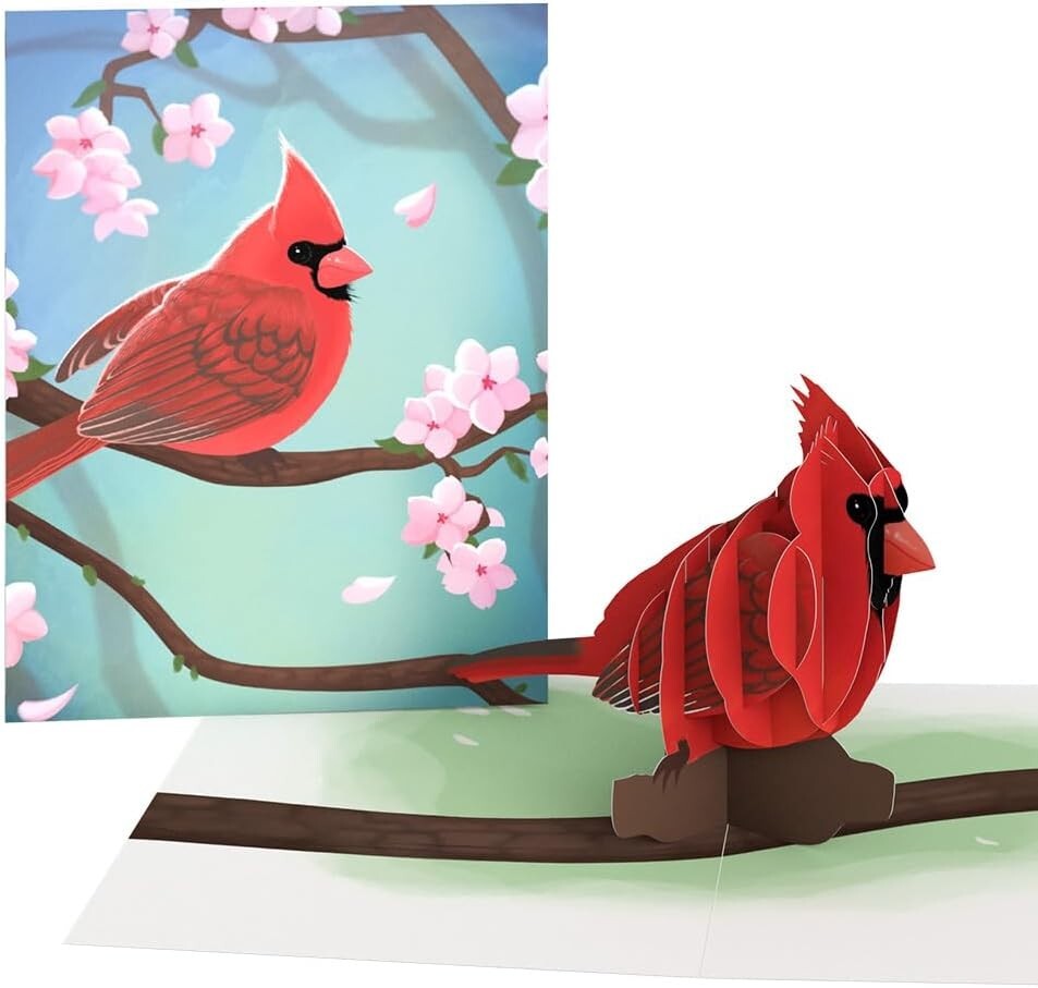 Celebrate Spring with 12 Assorted 3D Pop-Up Bird Cards & Envelopes Included